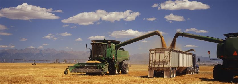 przyjazna Rolnicze usługi, Spółdzielnia Kółek Rolniczych.Spawalnictwo i usługi rolnicze, Rawa Mazowiecka